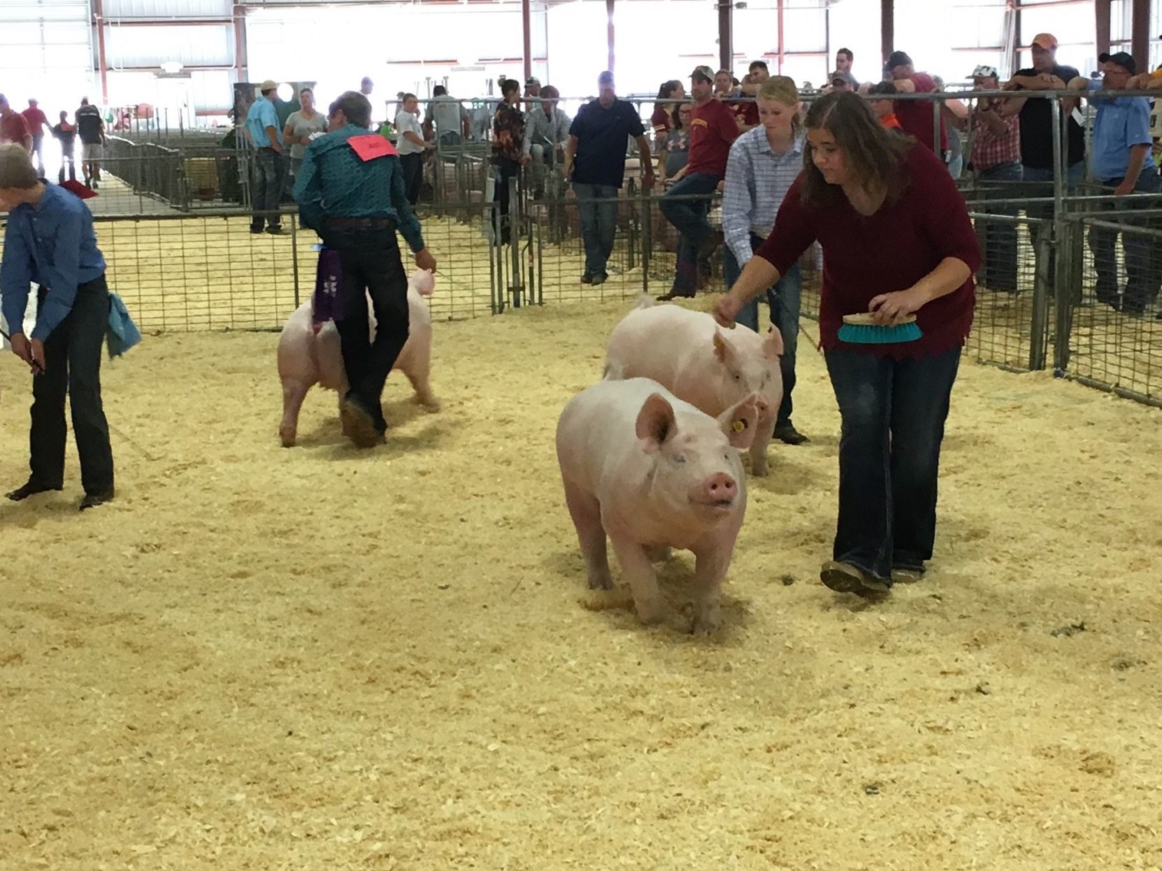 Clay County Fair